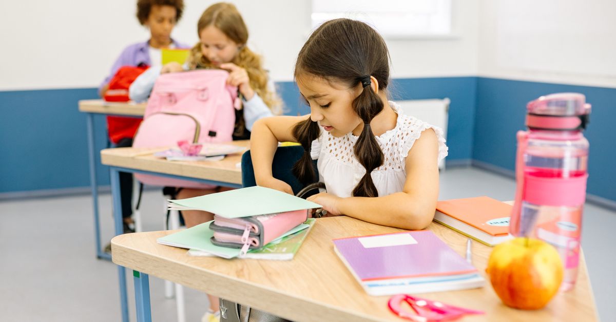 Designing Peer Mediation Programs for Primary Schools